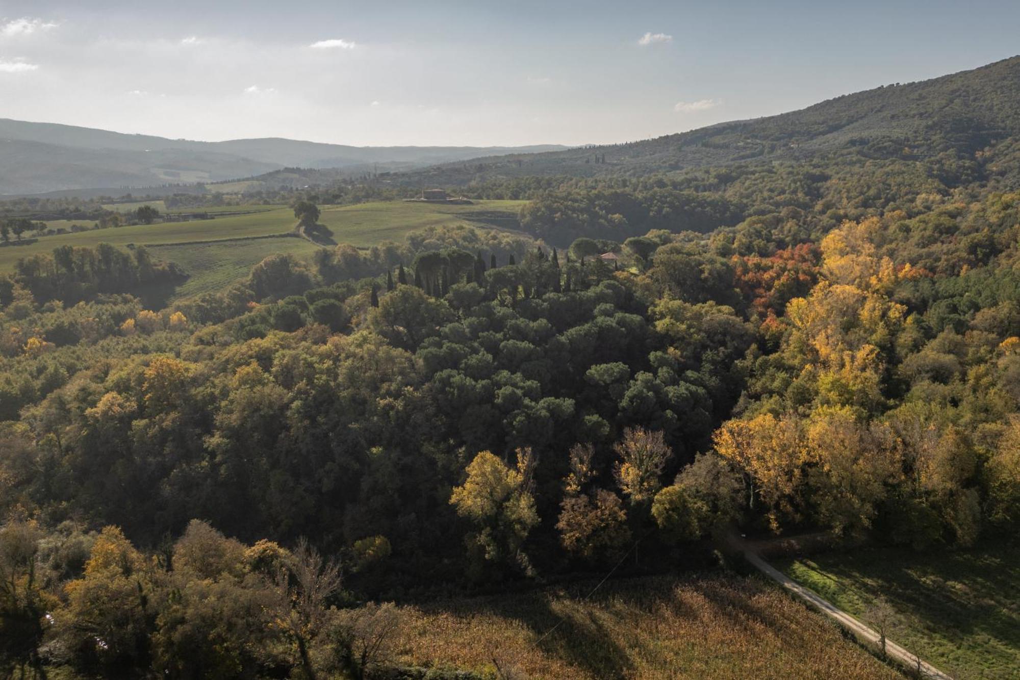 Tenuta Di Caiolo Panicale Bagian luar foto